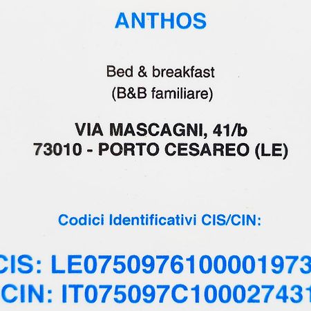Bed Anthos Porto Cesareo Bed and Breakfast Buitenkant foto